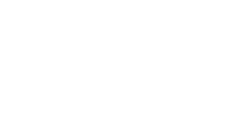 Aivotandra Logo